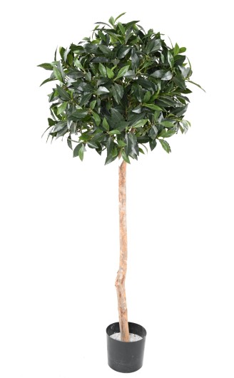 BALL LAUREL STEM