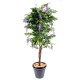 Wisteria artificial MULTI TREE