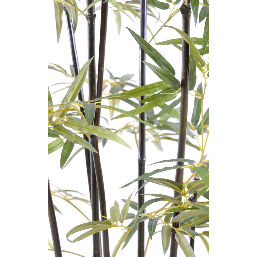 GREEN BAMBOO S