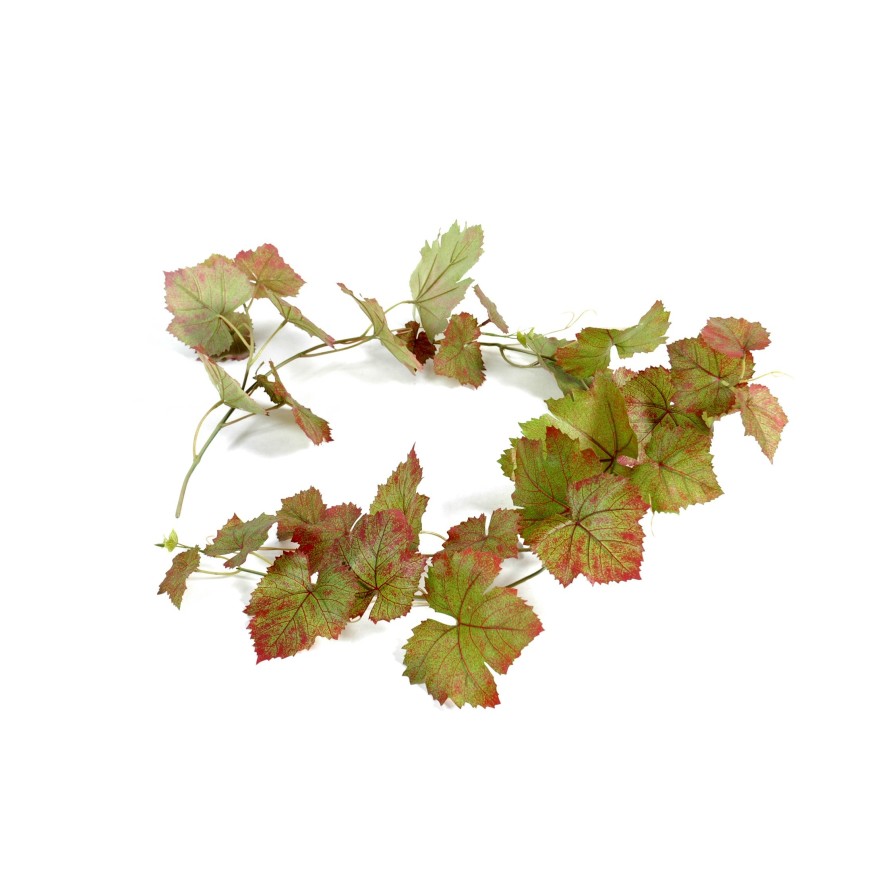 GARLAND VINE