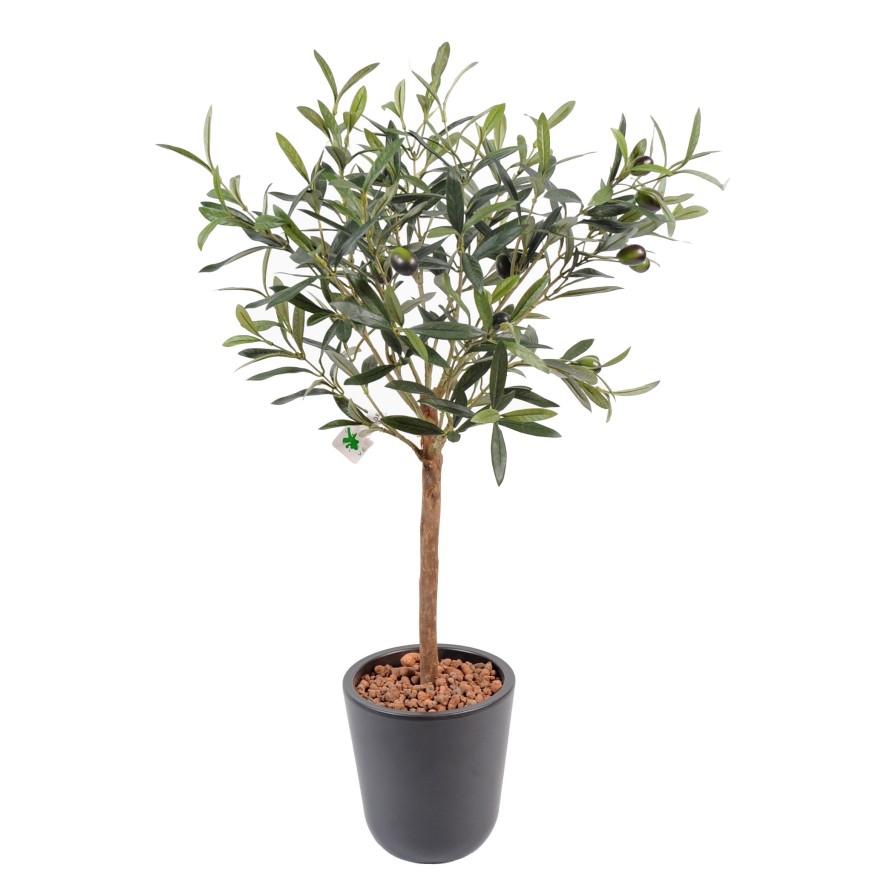 OLIVE TREE PLANT POT 10