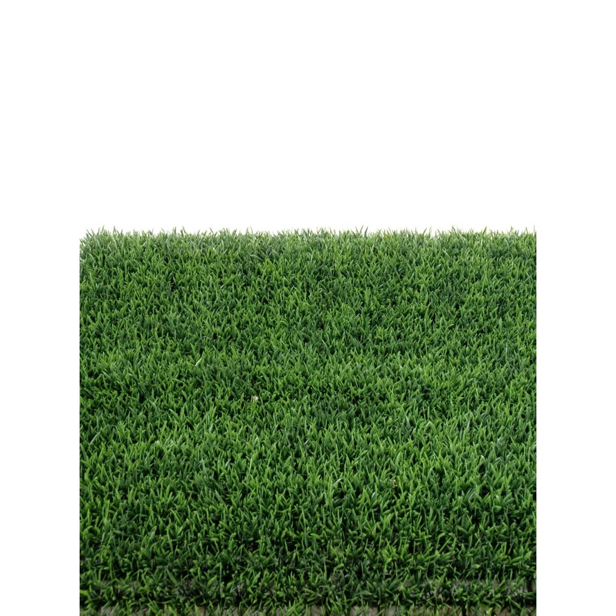 HERBE PLAQUE 70 (promo net)