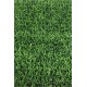 HERBE PLAQUE 70 (promo net)