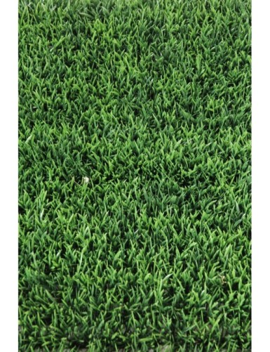 HERBE PLAQUE 70 (promo net)