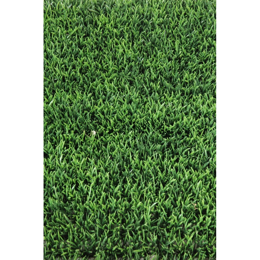 HERBE PLAQUE 70 (promo net)