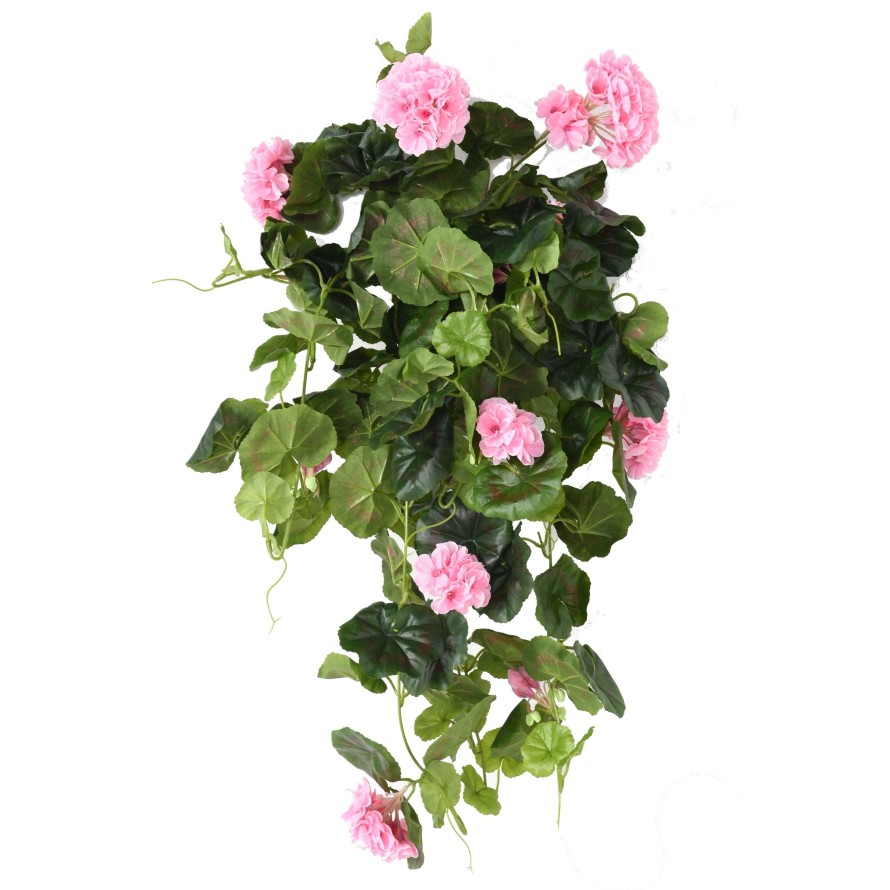 GERANIUM CHUTE*136