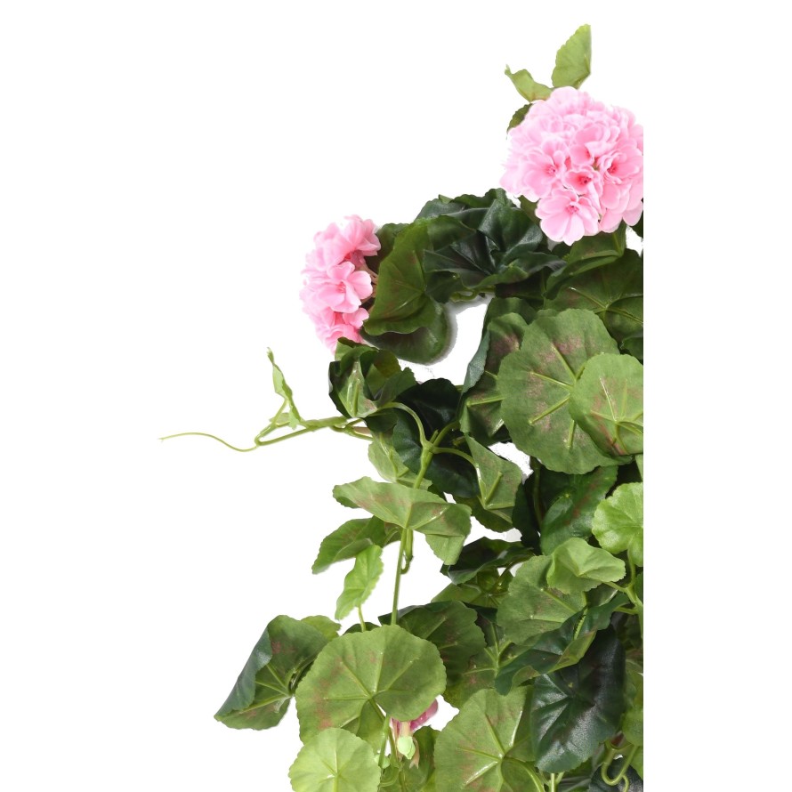 GERANIUM CHUTE*136