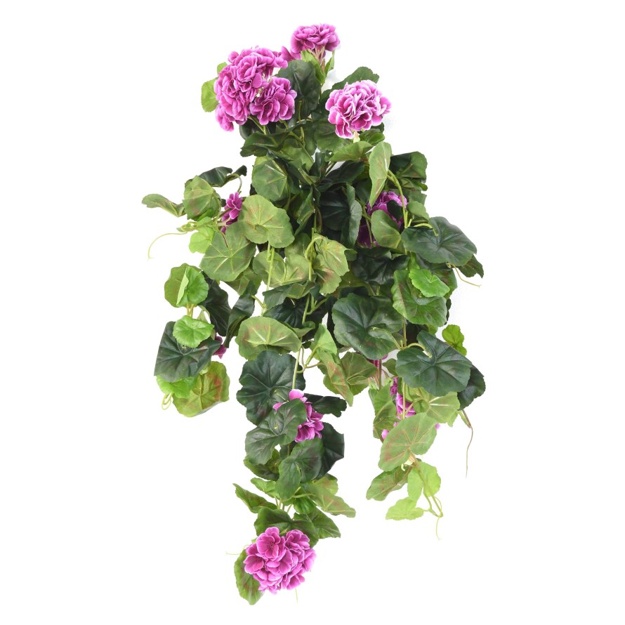 GERANIUM CHUTE*136