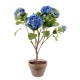 HYDRANGEA POT SOIL