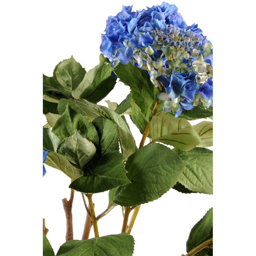 HYDRANGEA POT SOIL