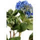 HYDRANGEA POT SOIL