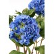 HORTENSIA POT TERRE