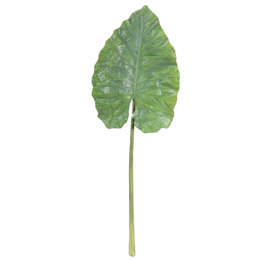 ALOCASIA GIANT LEAF