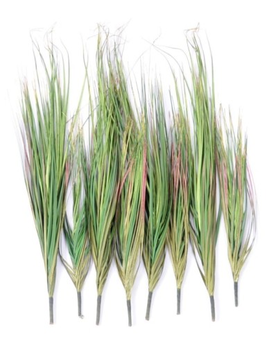 ONION GRASS SET (8) SANS POT 76 CM