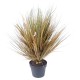 ONION GRASS ROUND 70 CM