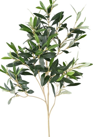 OLIVE SPRAY without fruit