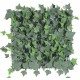 IVY PLAQUE 50*50