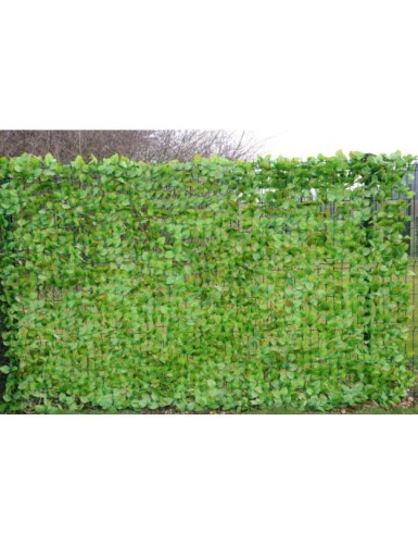 HORNBEAM NET 200*300