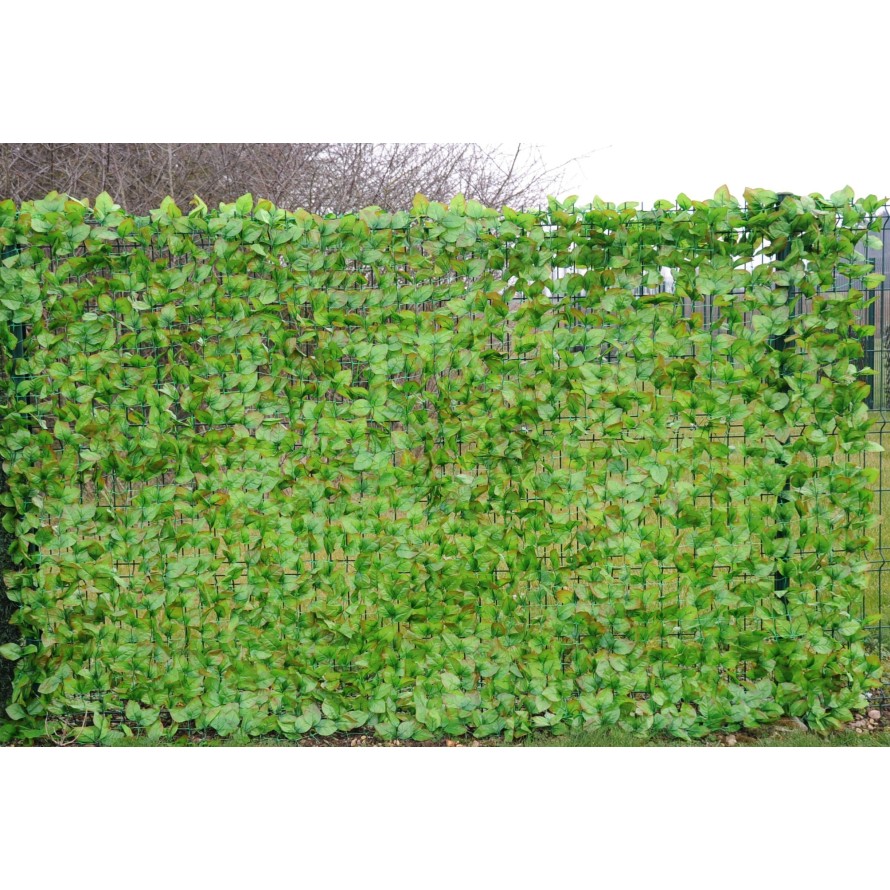 HORNBEAM NET 200*300