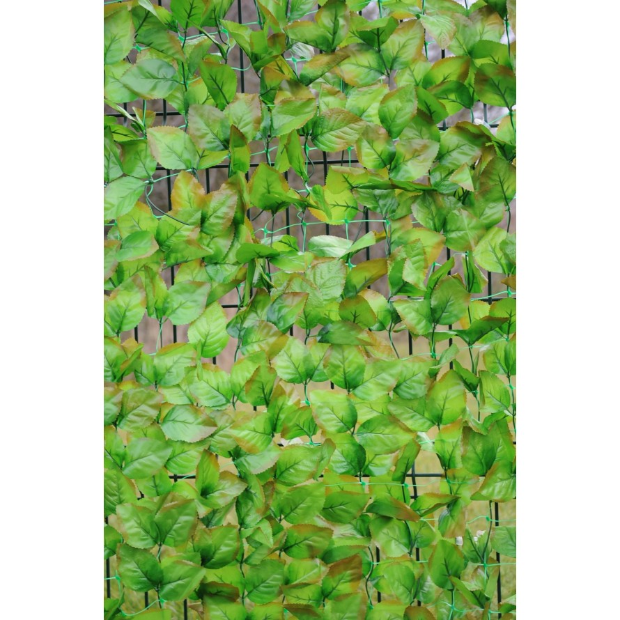 HORNBEAM NET 200*300