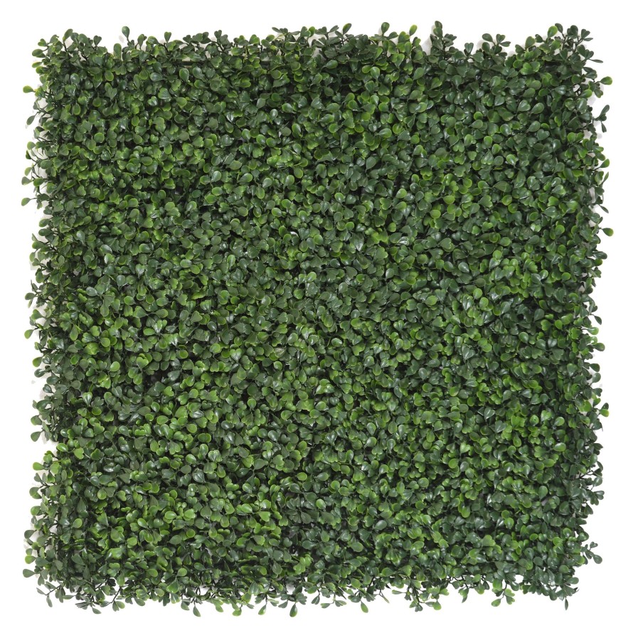 BOXWOOD PLAQUE 50*50