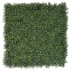 BOXWOOD PLAQUE 50*50