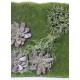 MUR VEGETAL 43*43