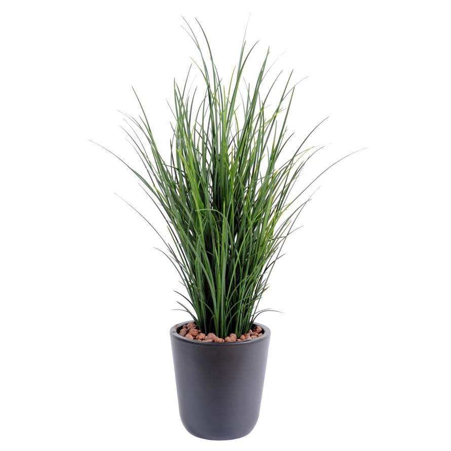 HERBE FINE POT