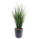 HERBE FINE POT