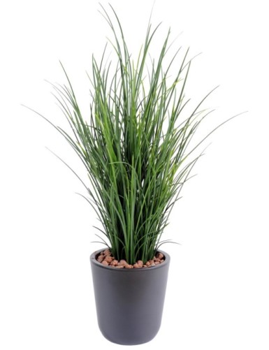 HERBE FINE POT