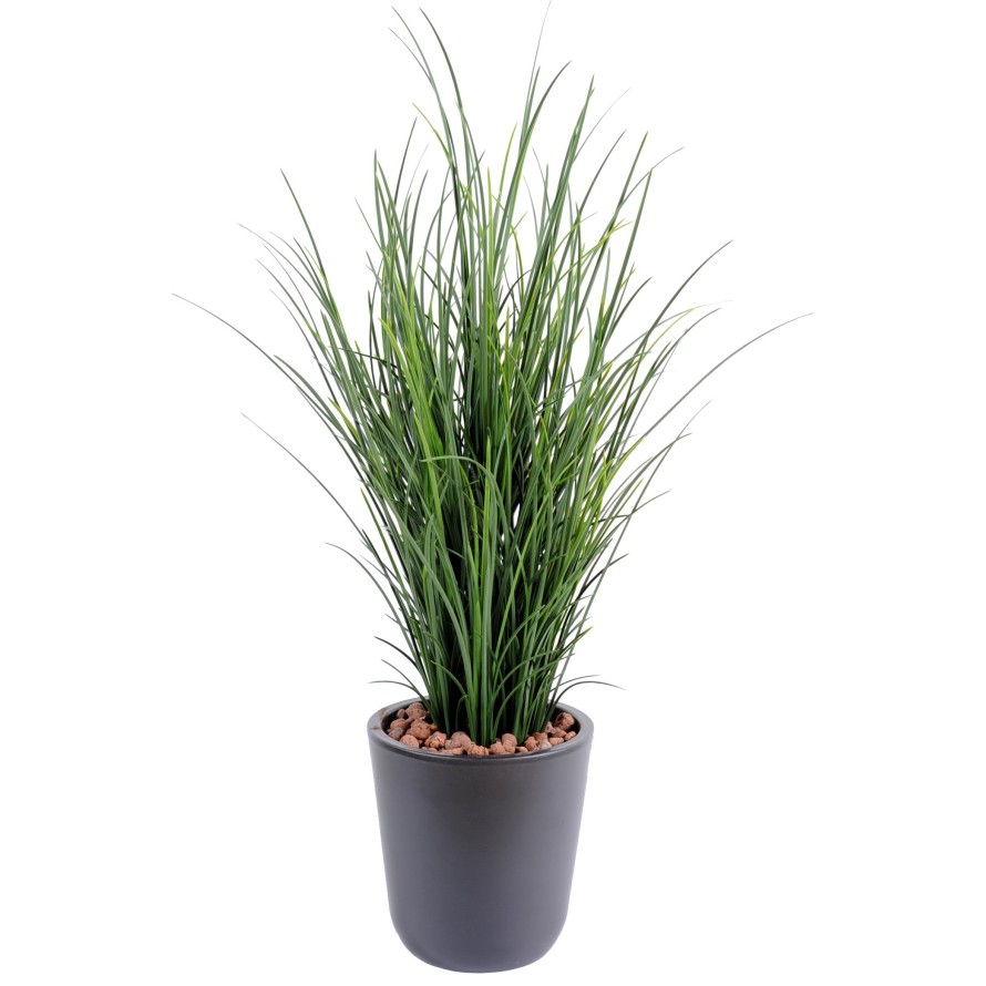 HERBE FINE POT