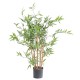 BAMBOO JAPANESE PLAST UV