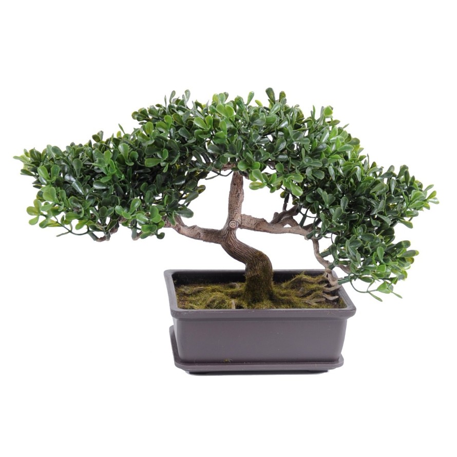 BONSAI TEA MINI 22 CM