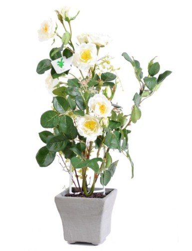 POTTED ROSE 50 CM