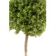 BOXWOOD STEM BALL NEW