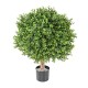 BOXWOOD BALL NEW