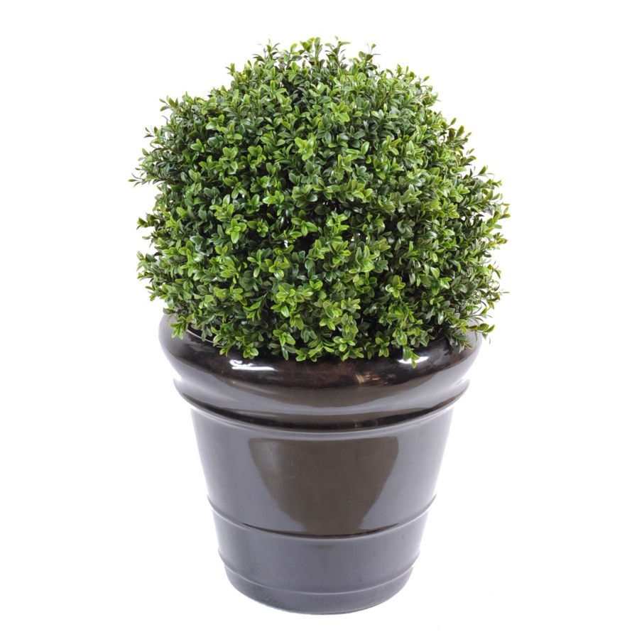 BOXWOOD BALL NEW