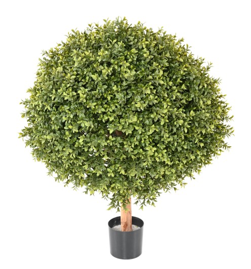 BOXWOOD BALL NEW