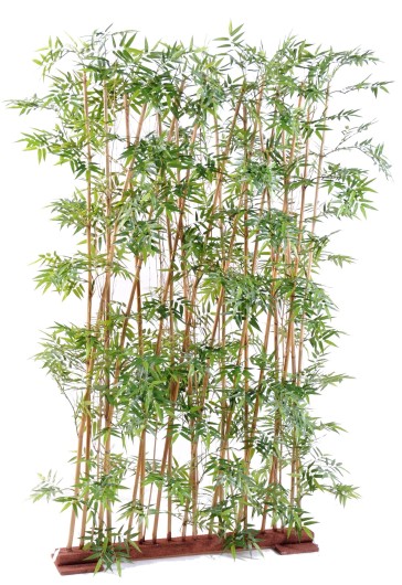 ORIENTAL BAMBOO HEDGE