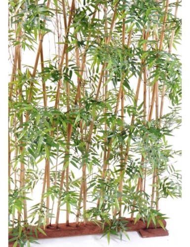 BAMBOO HEDGE ORIENTAL