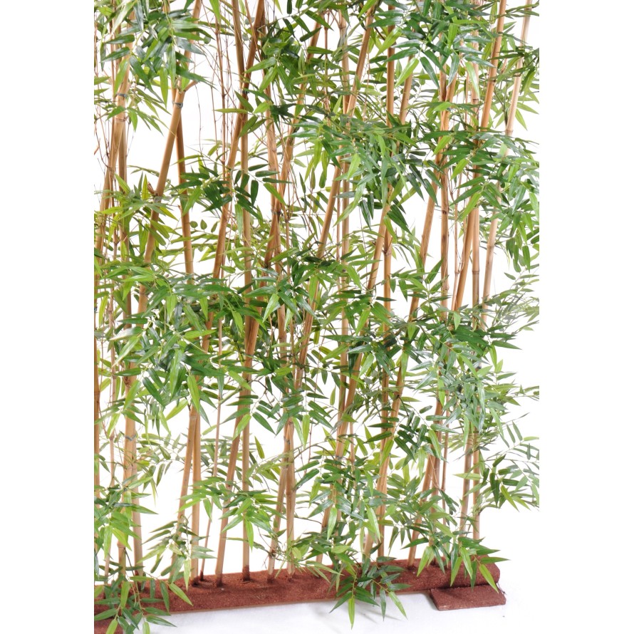 BAMBOO HEDGE ORIENTAL