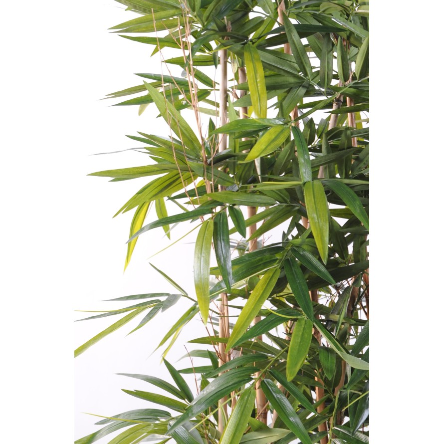 BAMBOO NEW HEDGE BASE 75