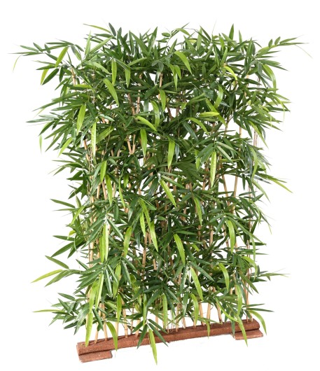 BAMBOO NEW HEDGE UV BASE 95