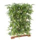 BAMBOO NEW HEDGE UV BASE 95