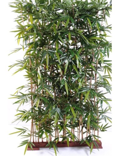 BAMBOO NEW HEDGE UV BASE 95