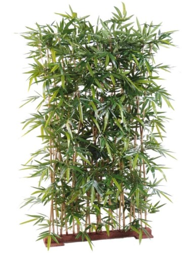 BAMBOO NEW HEDGE UV BASE 95