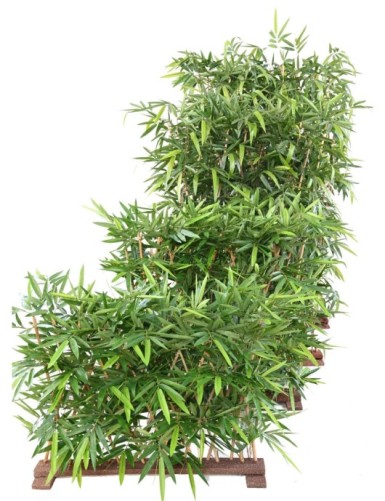 BAMBOO NEW HEDGE UV BASE 95