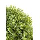 BOXWOOD BALL NEW