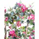 BOUGAINVILLEE NEW PALISSADE