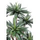 AGAVE*9 105 CM